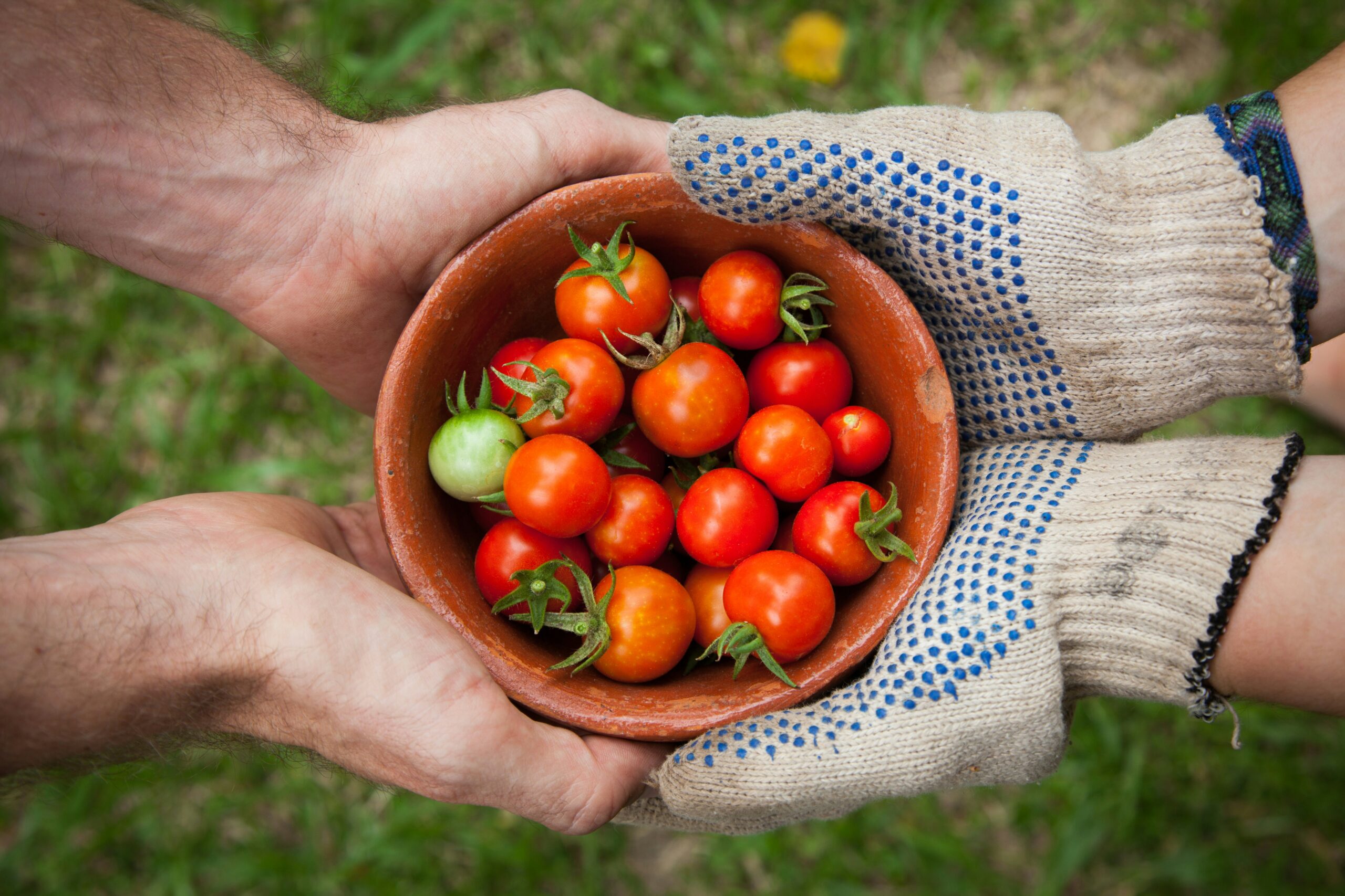 Developing a Generous and Kind Heart: Cultivating Compassion for Personal Growth and Well-being